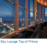 Sky Lounge Top of Prince