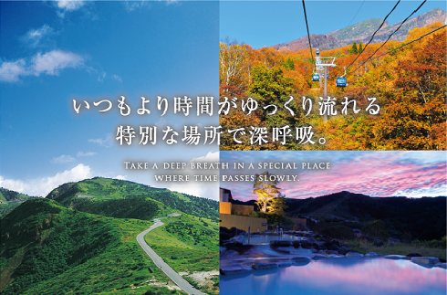 Tourist Guide
