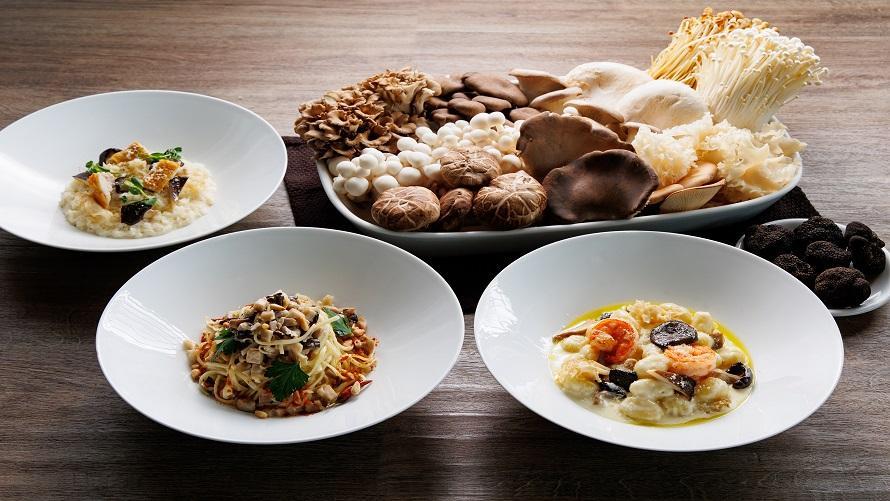 Autumn Lunch – Mushroom –