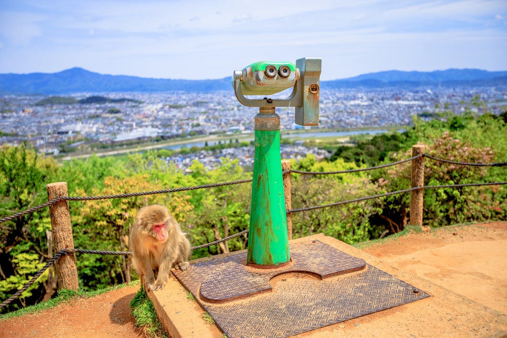 Arashiyama Monkey Park