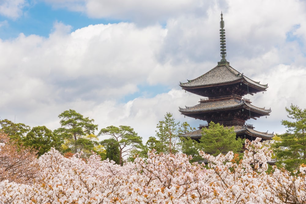 Ninna-ji Temple