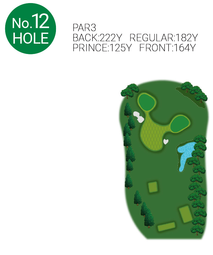 No.12 Hole