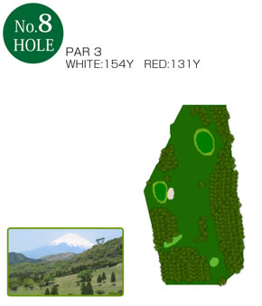 No.8 Hole