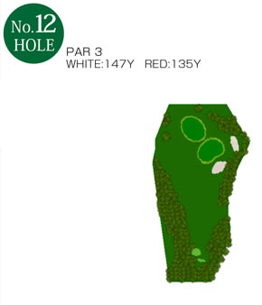 No.12 Hole