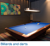 Billiards and darts