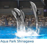 Aqua Park Shinagawa