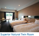 Superior Natural Twin Room
