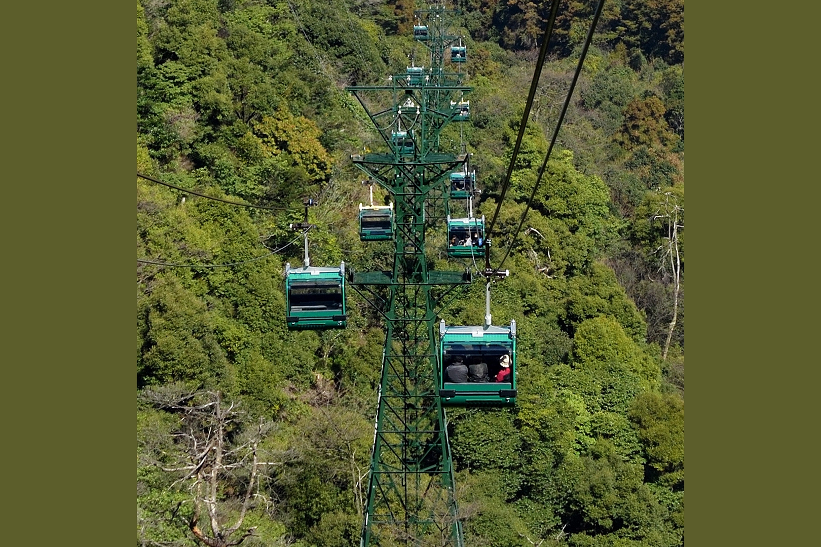 Ropeway (circular type) connecting the foothills and the summit of Mount Misen.