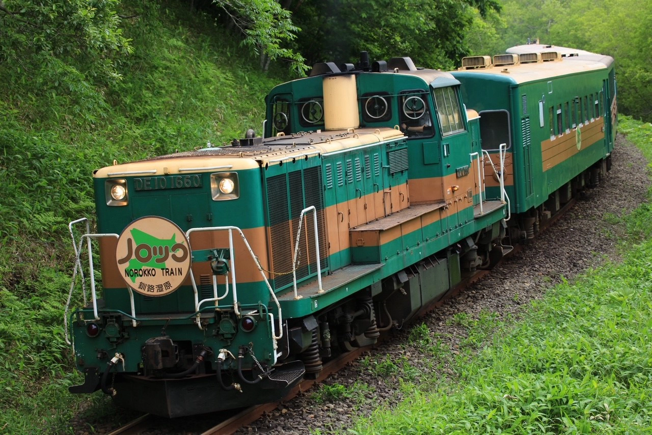 Image of the leisurely Norokko Train