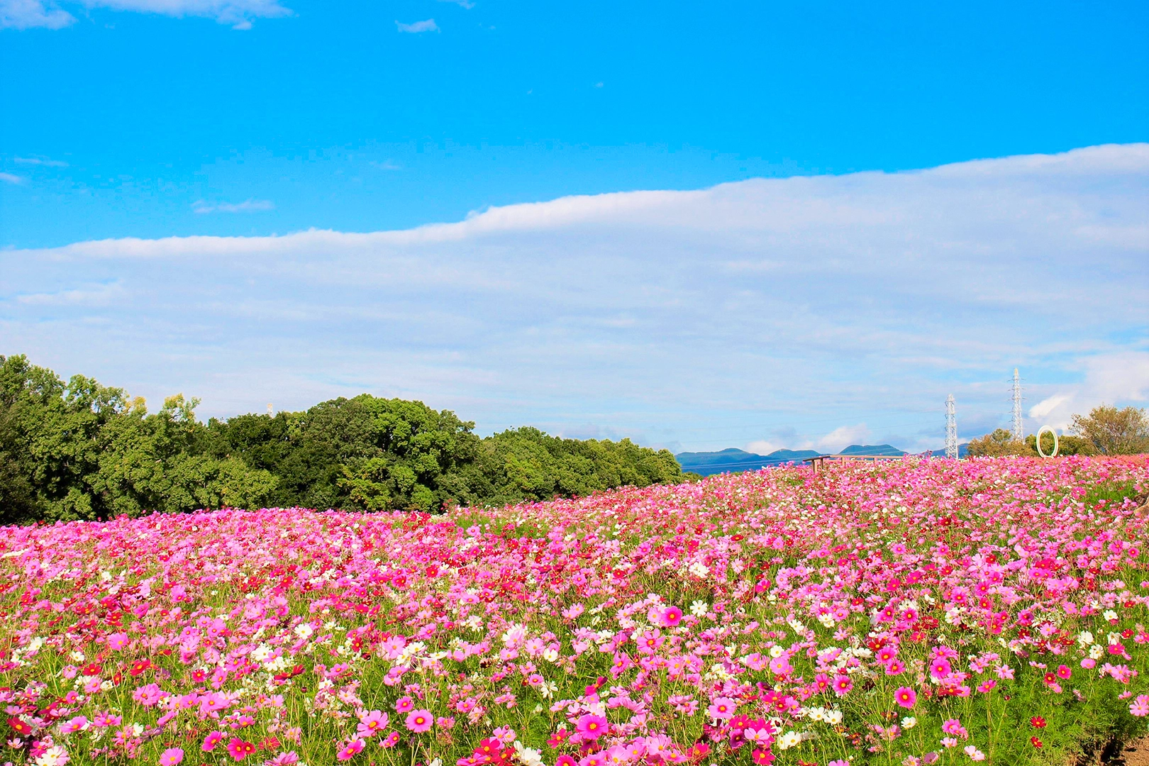 As the name suggests, the Hill of Flowers is bustling with seasonal blossoms
