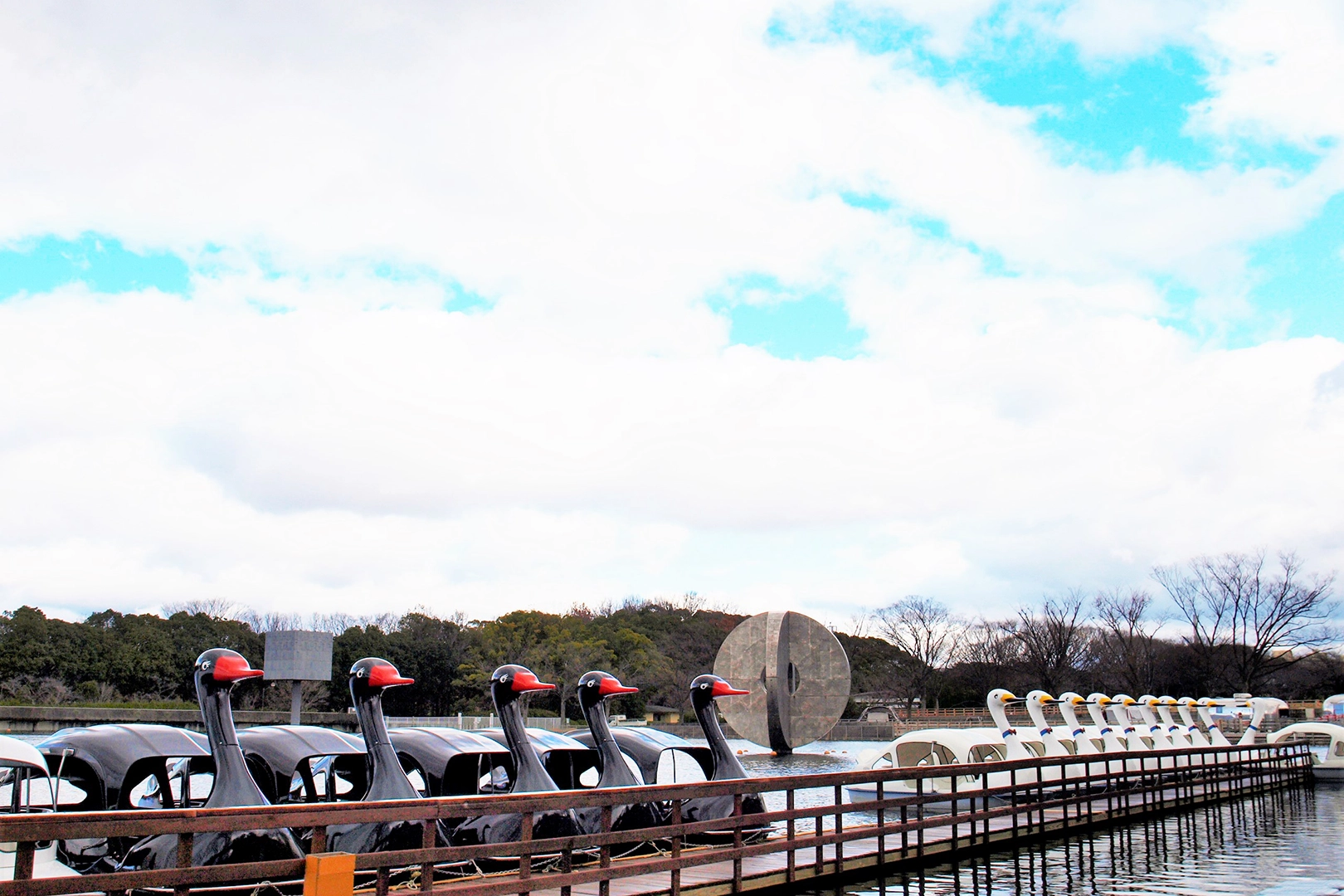 Swan-shaped and black swan-shaped cycle boats