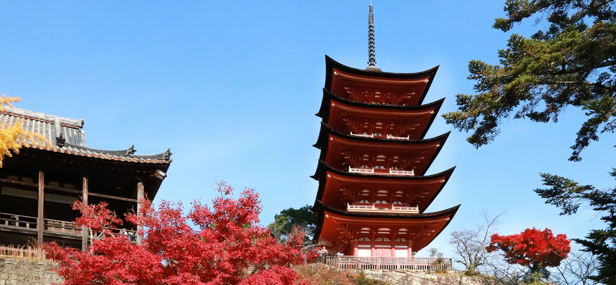 Hiroshima's Autumn Foliage Spots! An Autumn Trip Based at Grand Prince Hotel Hiroshima