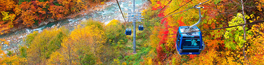 AutumnFoliage In Prince Snow Resorts