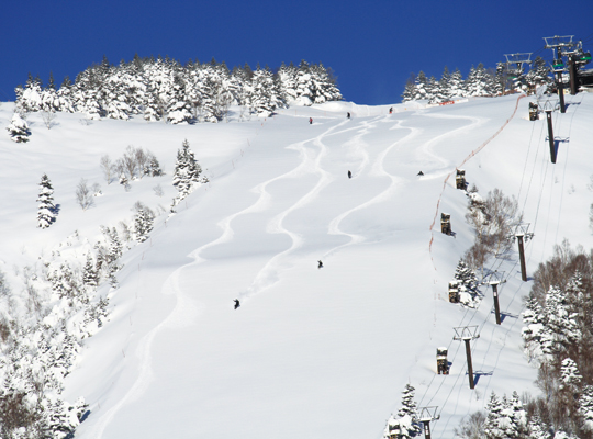 shiga_kogen Ski Resort01