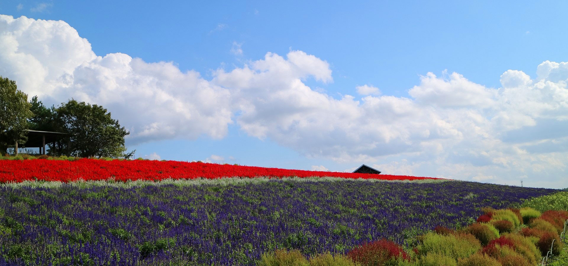 Furano Prince Hotel