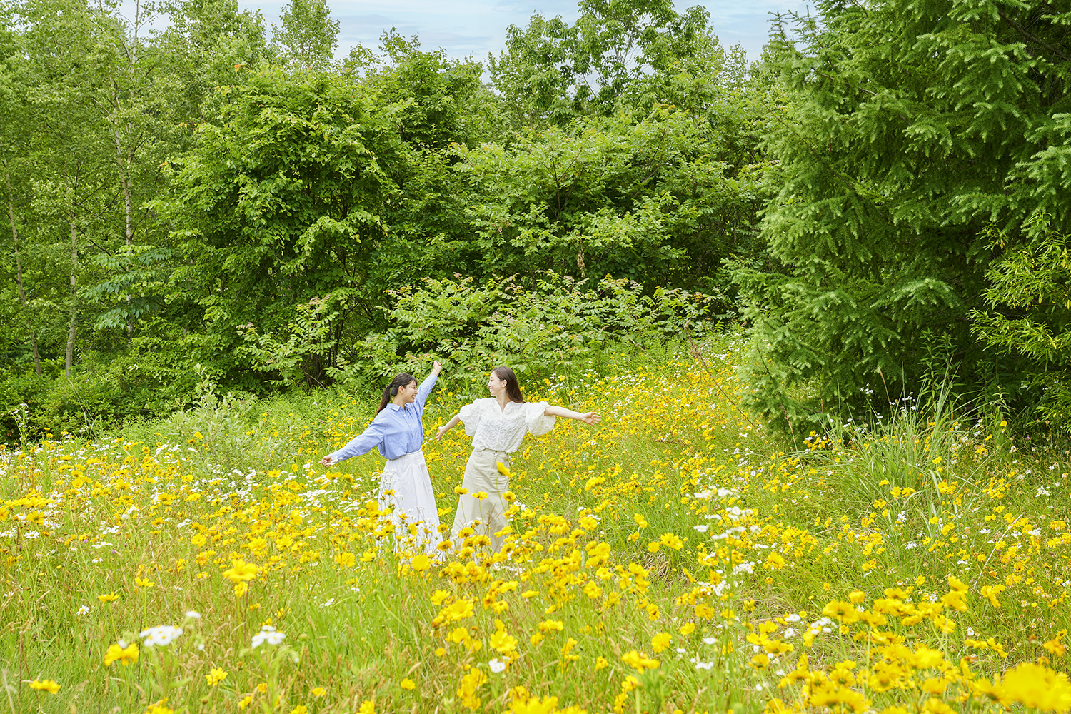 워킹 코스～숲 산책길～