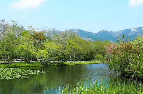 箱根濕地花園