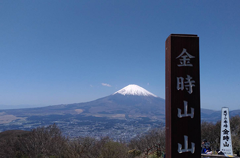 登山-金時山