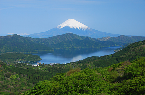 杭州大观山图片