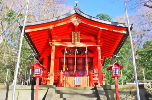 The forest of Hakone Kuzuryu no Mori