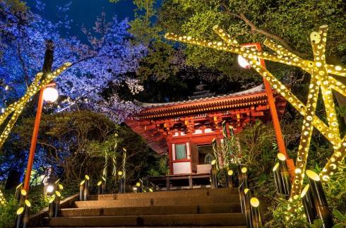 Moon-gazing Tradition in Takanawa