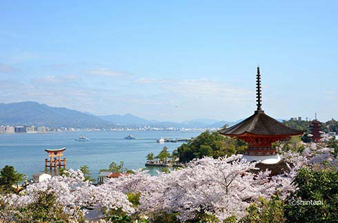 广岛和濑户内　春之绝景巡游