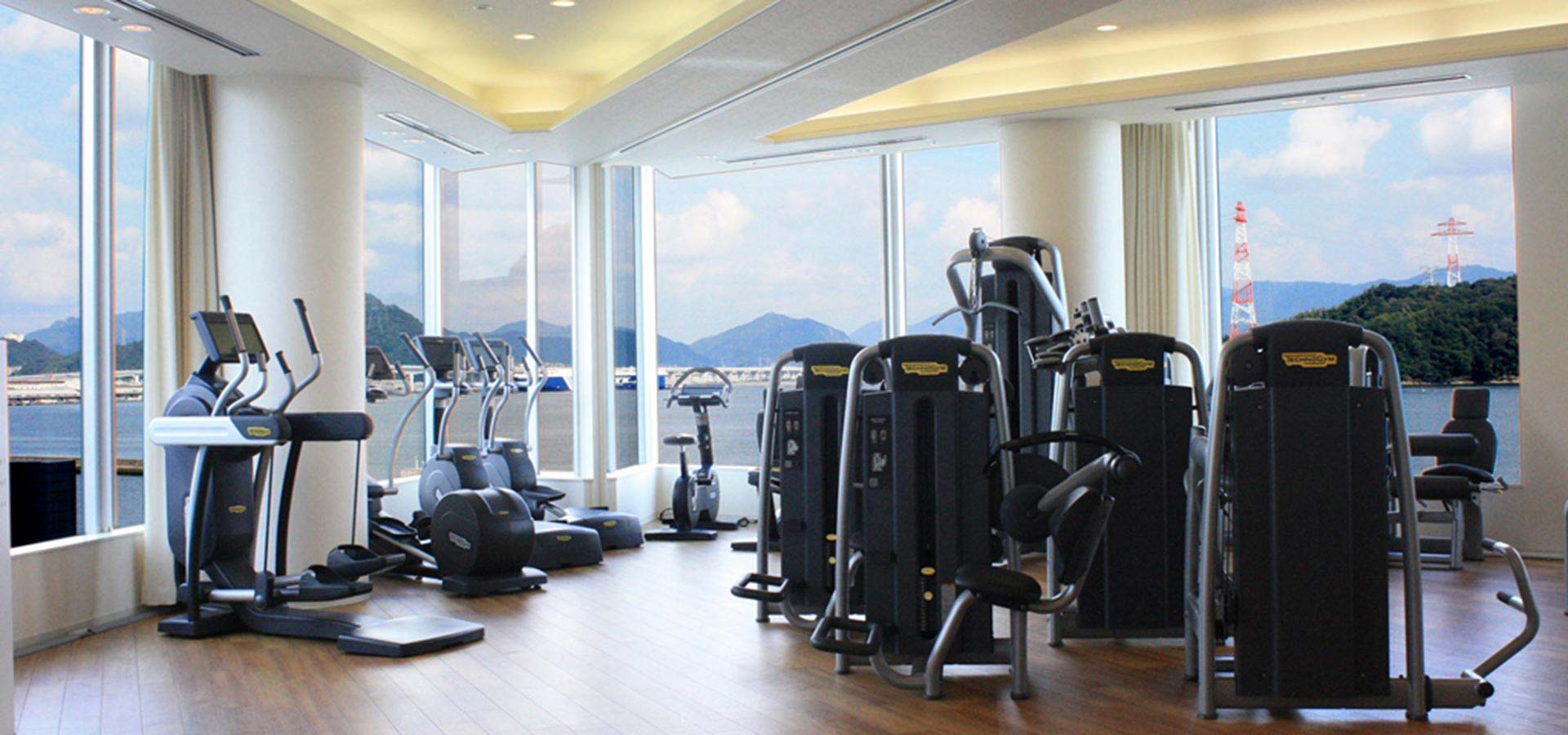Gym (Hotel guests only/Fee)