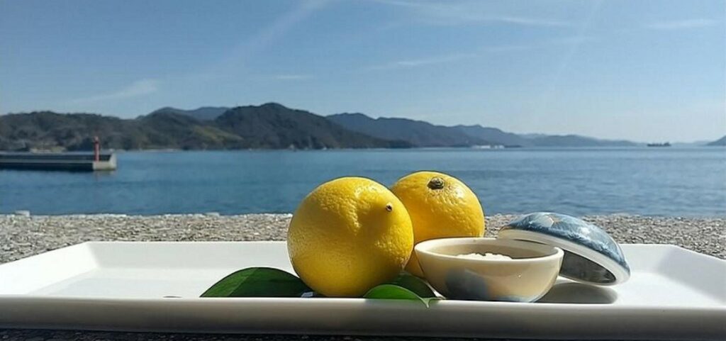 setouchi-lemon
