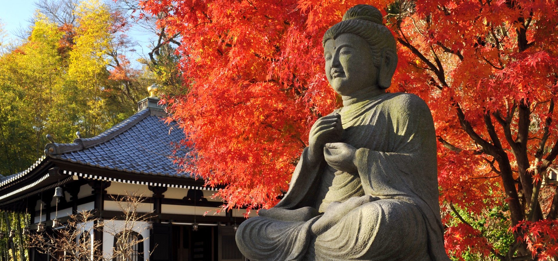 长 谷 寺