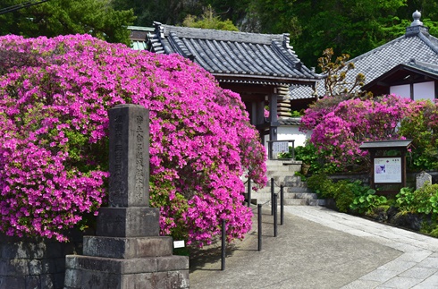 Anyouin Temple