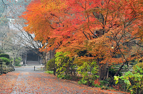 Myohon-ji Temple