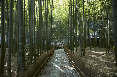 Hokoku-ji Temple