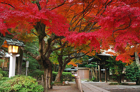 Kamakura-gu