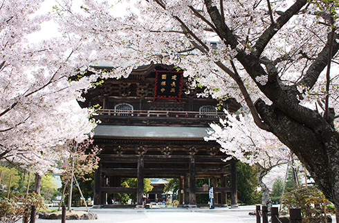 Kenchoji Temple