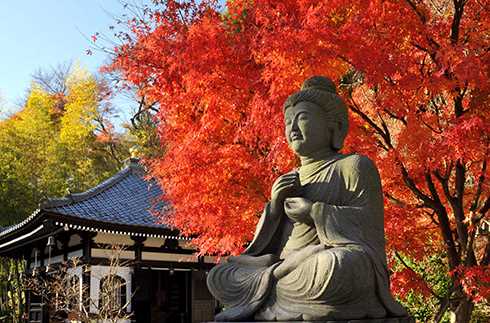 Enjoy “Autumn Foliage” in Kamakura Plan with HASEDERA Temple ticket