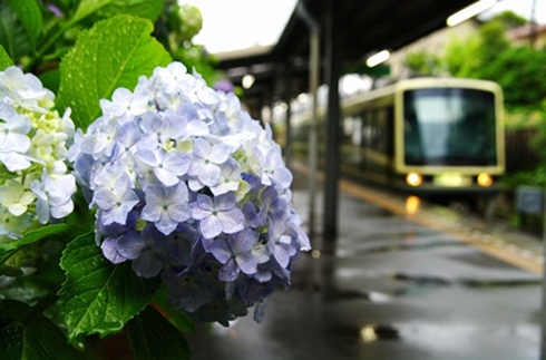 包含江之电1日车票 “Noriorikun”的住宿套餐 -含早餐-