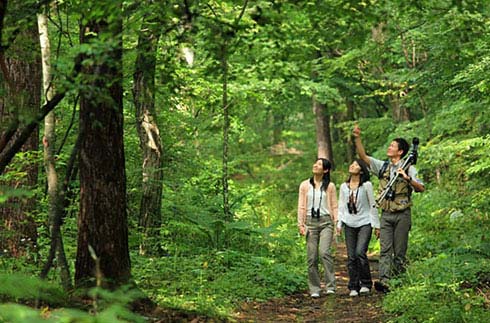 Nature Kids Forest House