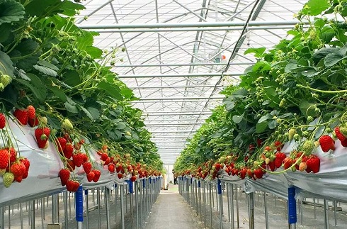 Karuizawa Gardenfarm