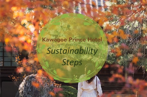 Sustainability Steps