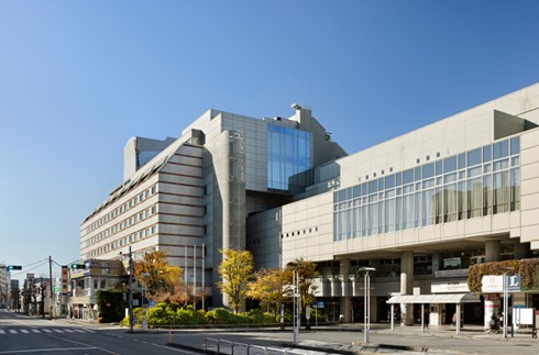 基本宾客专享