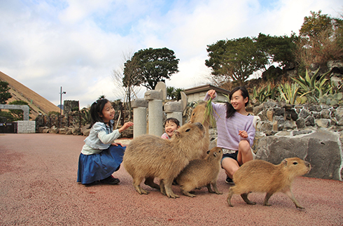 이즈 샤보텐 공원