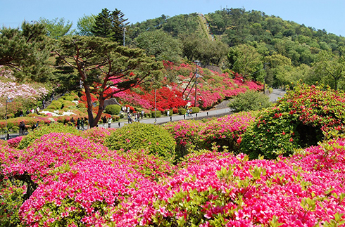 小室山公園