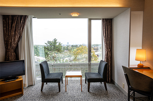 Deluxe Japanese–Western-style Room