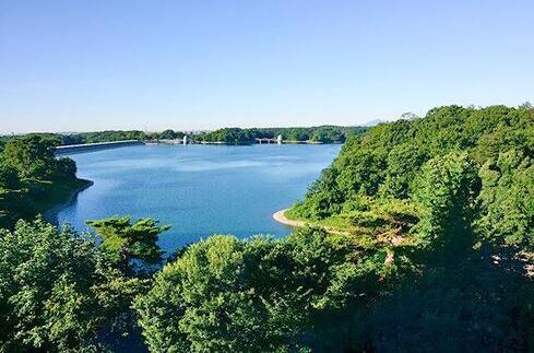 Lake Tama and Lake Sayama