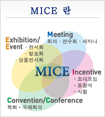 MICE 란