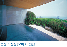 온천 노천탕(오이소 온천)