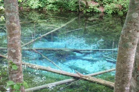 Kaminoko Pond