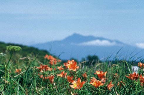 Koshimizu Natural Flower Garden