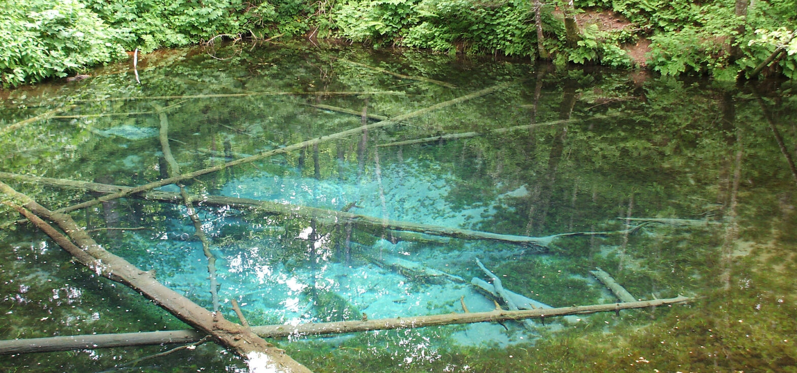 Kaminoko Pond