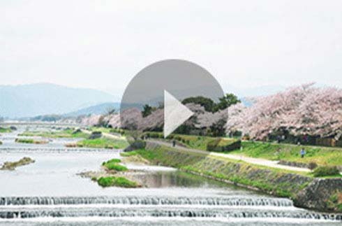 Discover Kyoto | ~The Prince Kyoto Takaragaike~